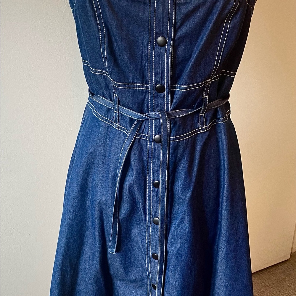 Anna Sui Blue Denim Midi Dress